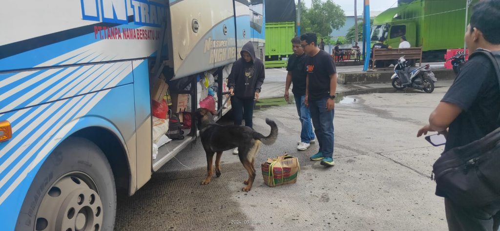 pelaksanaan kegiatan Operasi Seaport Interdiction yang melibatkan tim K-9 Narkotik Korps Sabhara Baharkam Polri selama 10 hari, dari 3 hingga 12 Maret 2024.