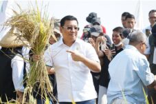 Tadi Pak Menko sudah memberikan arahan, mungkin nanti kita akan atur daerah-daerah mana yang belum panen sehingga itu untuk stabilisasi dan juga memberikan bantuan pangan kepada masyarakat yang memerlukan," ujar Kepala Badan Pangan Nasional Arief Prasetyo Adi usai mengikuti Rakortas Bidang Pangan di Provinsi Sumatera Selatan pada Senin (13/1/2024)
